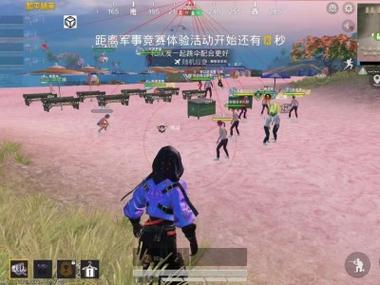 快鱼辅助和平精英